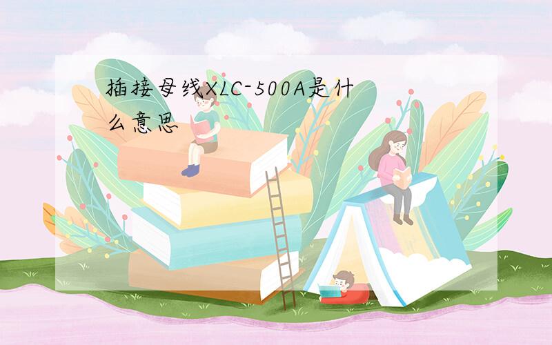 插接母线XLC-500A是什么意思