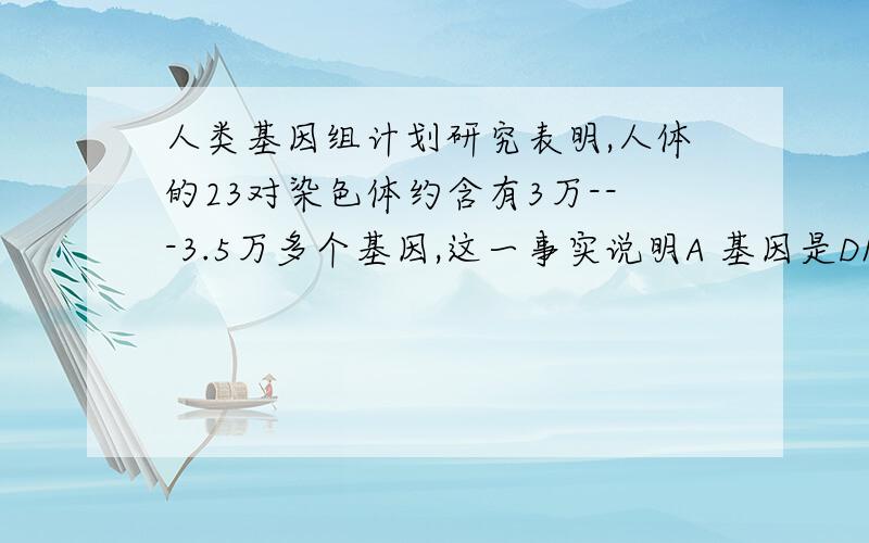 人类基因组计划研究表明,人体的23对染色体约含有3万---3.5万多个基因,这一事实说明A 基因是DNA 上的有遗传效应的片段 B 基因是染色体的片段 C 一个DNA 分子上有许多基因 D 基因只存在与染色