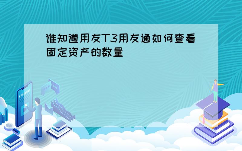 谁知道用友T3用友通如何查看固定资产的数量