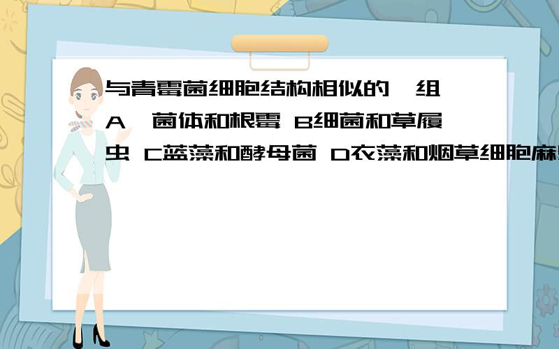 与青霉菌细胞结构相似的一组 A噬菌体和根霉 B细菌和草履虫 C蓝藻和酵母菌 D衣藻和烟草细胞麻烦告诉我为什么