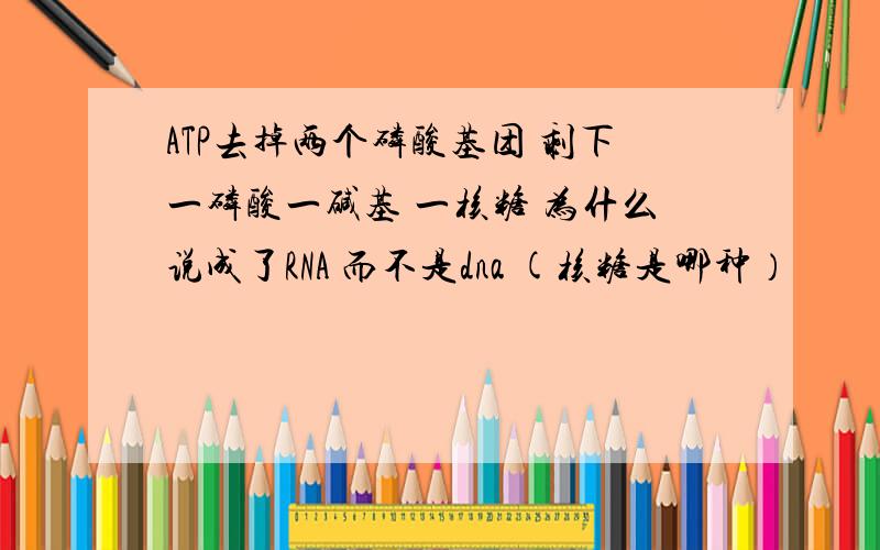 ATP去掉两个磷酸基团 剩下一磷酸一碱基 一核糖 为什么说成了RNA 而不是dna (核糖是哪种）