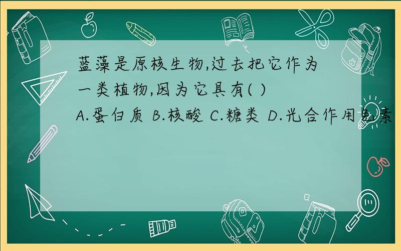 蓝藻是原核生物,过去把它作为一类植物,因为它具有( ) A.蛋白质 B.核酸 C.糖类 D.光合作用色素