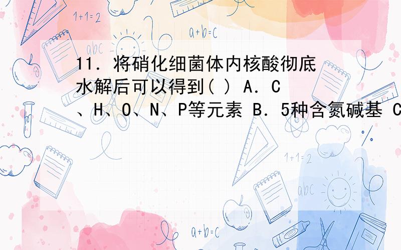 11．将硝化细菌体内核酸彻底水解后可以得到( ) A．C、H、O、N、P等元素 B．5种含氮碱基 C．4种核苷酸 D．D．8种核苷酸 但为什么不是D 求详解