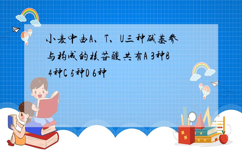 小麦中由A、T、U三种碱基参与构成的核苷酸共有A 3种B 4种C 5种D 6种