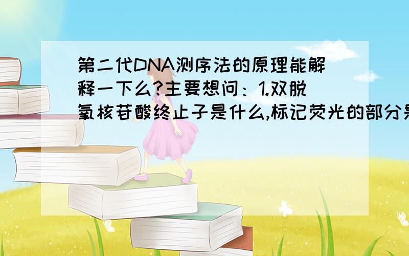 第二代DNA测序法的原理能解释一下么?主要想问：1.双脱氧核苷酸终止子是什么,标记荧光的部分是片段尾部?2.如何利用荧光测序峰进行碱基统计排序?（刚接触DNA测序法,很多东西都不懂,希望解