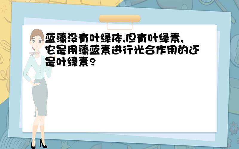 蓝藻没有叶绿体,但有叶绿素,它是用藻蓝素进行光合作用的还是叶绿素?