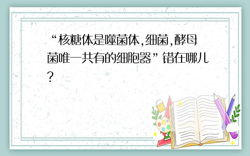 “核糖体是噬菌体,细菌,酵母菌唯一共有的细胞器”错在哪儿?