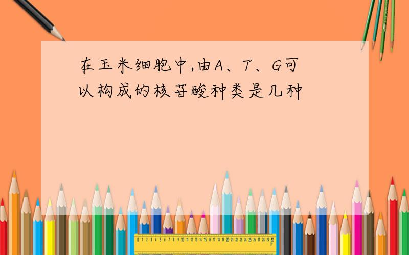 在玉米细胞中,由A、T、G可以构成的核苷酸种类是几种