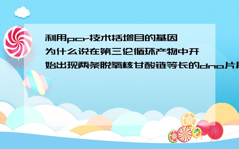 利用pcr技术括增目的基因,为什么说在第三伦循环产物中开始出现两条脱氧核甘酸链等长的dna片段