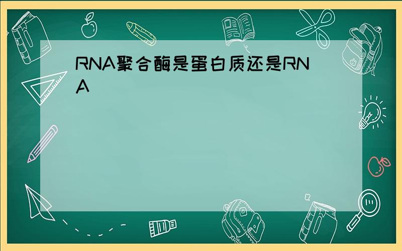 RNA聚合酶是蛋白质还是RNA