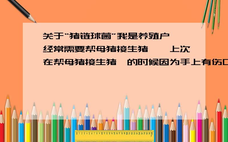 关于“猪链球菌”我是养殖户,经常需要帮母猪接生猪崽,上次在帮母猪接生猪崽的时候因为手上有伤口,这样会不会很危险,这样会容易感染猪链球菌吗?