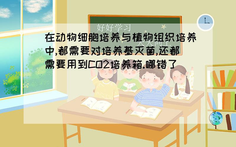 在动物细胞培养与植物组织培养中,都需要对培养基灭菌,还都需要用到CO2培养箱.哪错了