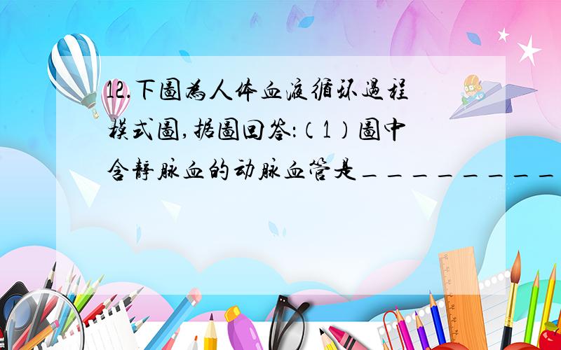 12．下图为人体血液循环过程模式图,据图回答：（1）图中含静脉血的动脉血管是________.（2）某人患感冒,若静脉注射药物,则该药物最先到达心脏的[ ].（3）当人体发生煤气中毒时,血液中的一