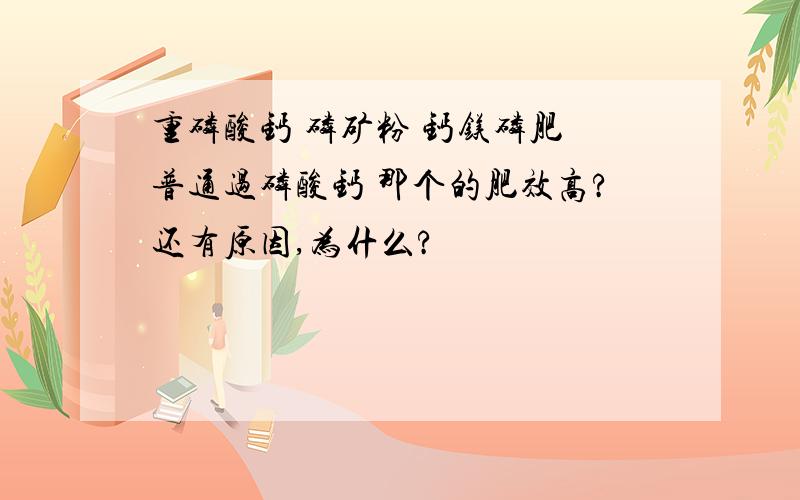 重磷酸钙 磷矿粉 钙镁磷肥 普通过磷酸钙 那个的肥效高?还有原因,为什么?