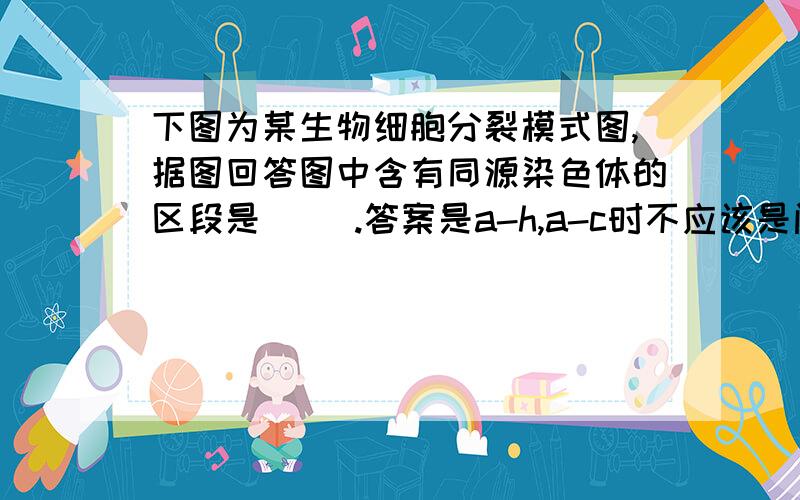 下图为某生物细胞分裂模式图,据图回答图中含有同源染色体的区段是( ).答案是a-h,a-c时不应该是间期吗,只有染色质,怎么会有同源染色体?