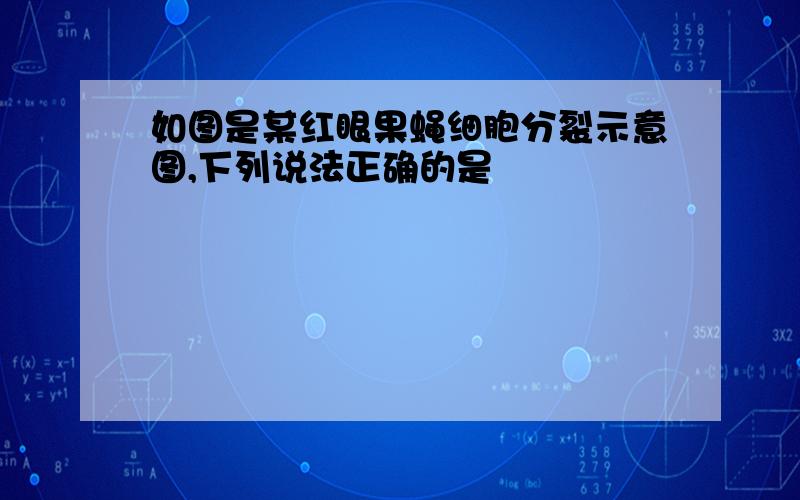 如图是某红眼果蝇细胞分裂示意图,下列说法正确的是