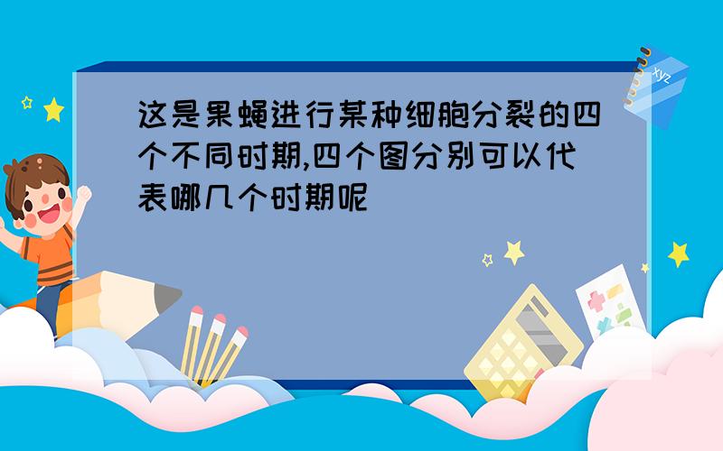 这是果蝇进行某种细胞分裂的四个不同时期,四个图分别可以代表哪几个时期呢