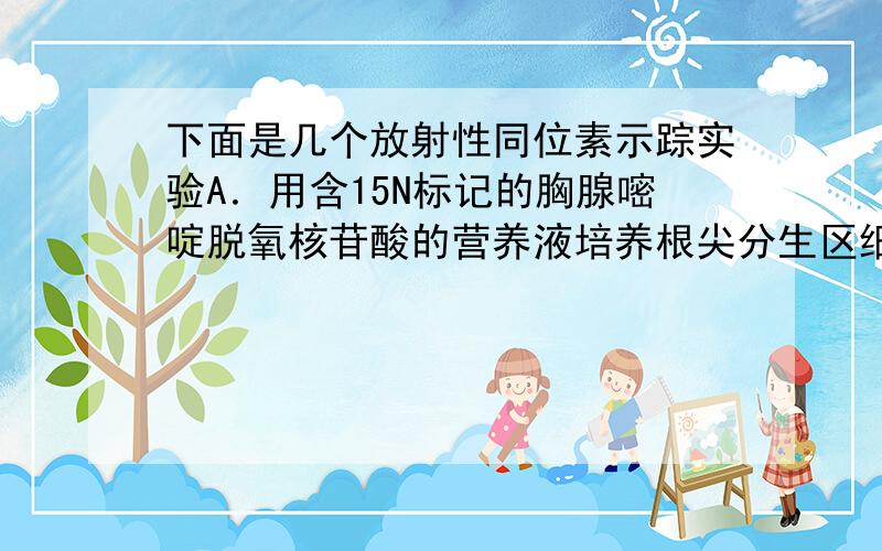 下面是几个放射性同位素示踪实验A．用含15N标记的胸腺嘧啶脱氧核苷酸的营养液培养根尖分生区细胞,一段时间后分离获得具有放性的细胞器,可在这类细胞器内进行的生理过程有[H]+O2 H2O B．