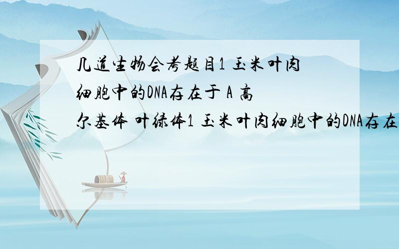 几道生物会考题目1 玉米叶肉细胞中的DNA存在于 A 高尔基体 叶绿体1 玉米叶肉细胞中的DNA存在于 A 高尔基体 叶绿体 细胞核 B 内质网 核糖体 线粒体 C 细胞核 叶绿体 线粒体 D 细胞核 核糖体 线