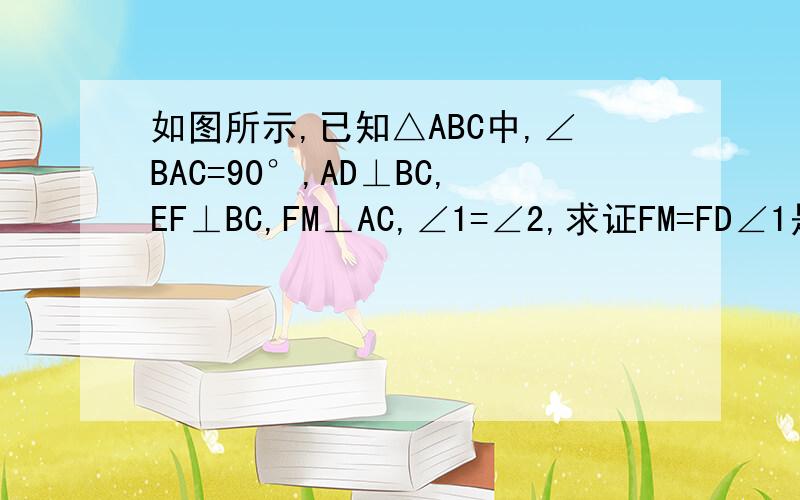 如图所示,已知△ABC中,∠BAC=90°,AD⊥BC,EF⊥BC,FM⊥AC,∠1=∠2,求证FM=FD∠1是角BAE，∠2是∠EBC