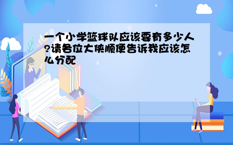 一个小学篮球队应该要有多少人?请各位大侠顺便告诉我应该怎么分配