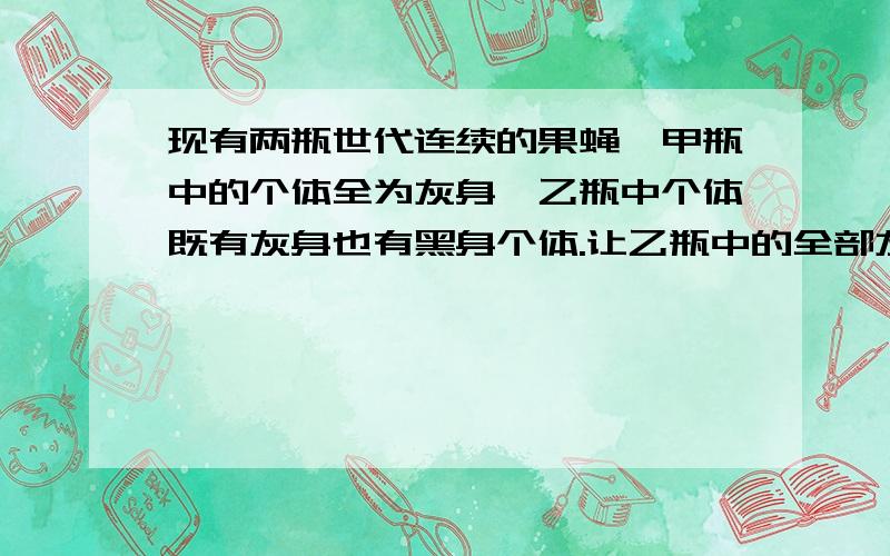 现有两瓶世代连续的果蝇,甲瓶中的个体全为灰身,乙瓶中个体既有灰身也有黑身个体.让乙瓶中的全部灰身个体与异性黑身果蝇交配,若后代都不出现性状分离,则可以认为（）A.甲为乙的亲本,