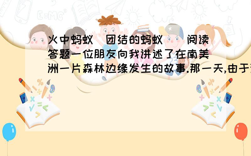 火中蚂蚁（团结的蚂蚁））阅读答题一位朋友向我讲述了在南美洲一片森林边缘发生的故事.那一天,由于游客的不慎,使临河的一片草丛起火了,顺着风势游走的火舌活像一挂红色的项链,开始