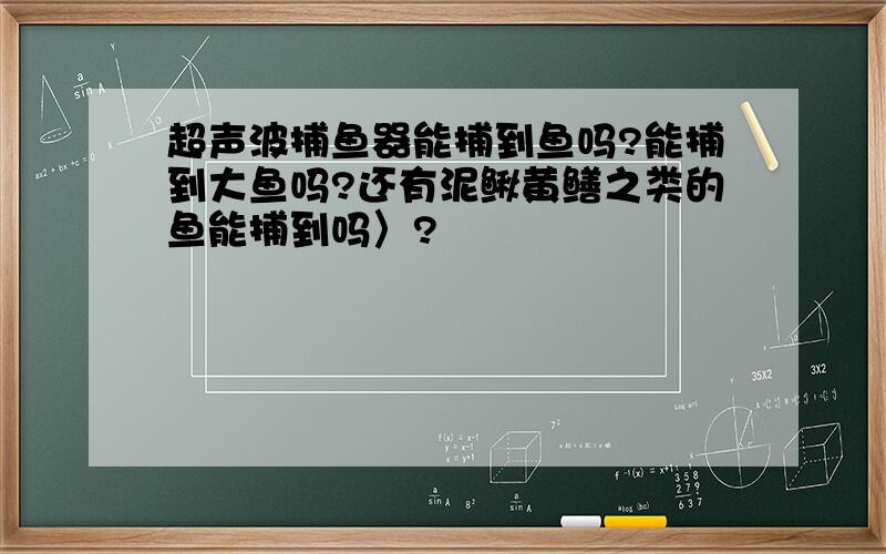 超声波捕鱼器能捕到鱼吗?能捕到大鱼吗?还有泥鳅黄鳝之类的鱼能捕到吗〉?