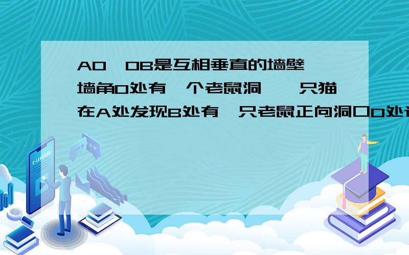 AO,OB是互相垂直的墙壁,墙角O处有一个老鼠洞,一只猫在A处发现B处有一只老鼠正向洞口O处逃窜,若猫以与老鼠同样的速度去追捕这只老鼠,请在图中作出猫最快能截住老鼠的位置（用点C来表示