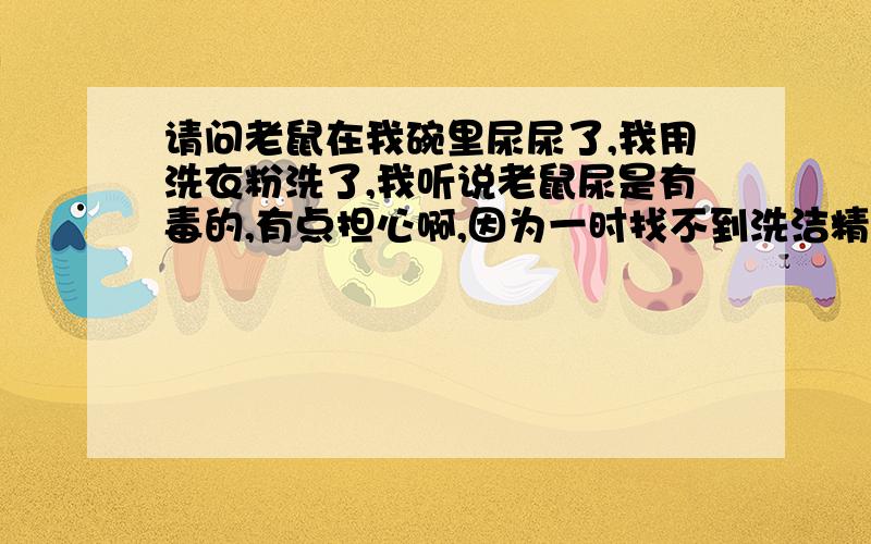 请问老鼠在我碗里尿尿了,我用洗衣粉洗了,我听说老鼠尿是有毒的,有点担心啊,因为一时找不到洗洁精啊,