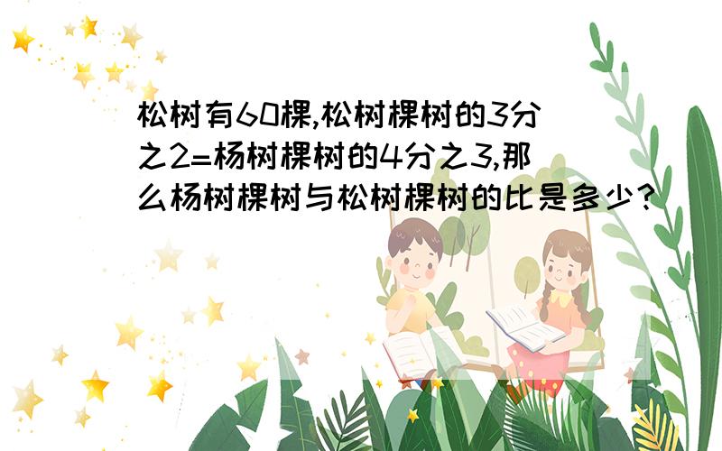 松树有60棵,松树棵树的3分之2=杨树棵树的4分之3,那么杨树棵树与松树棵树的比是多少?