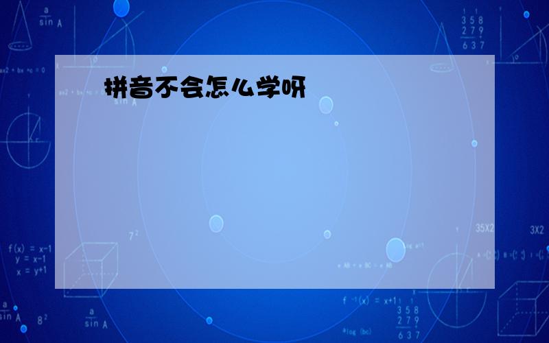 拼音不会怎么学呀