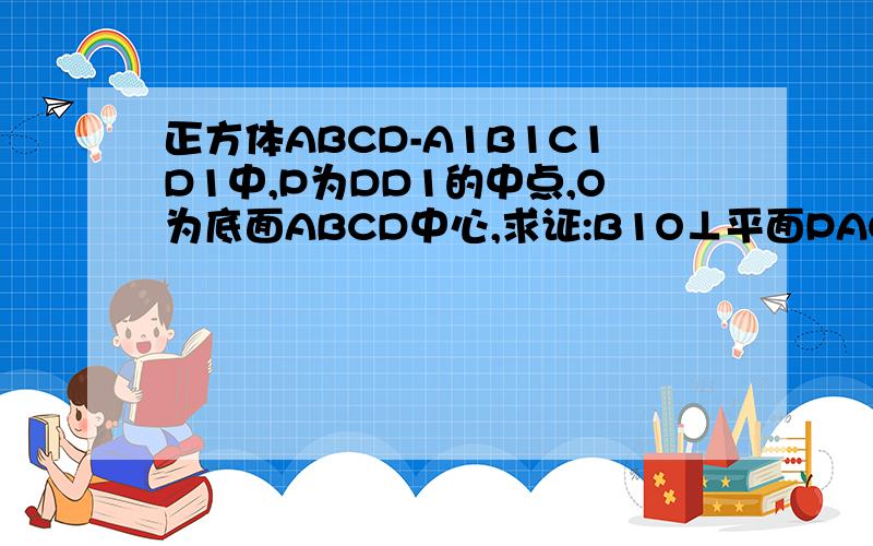 正方体ABCD-A1B1C1D1中,P为DD1的中点,O为底面ABCD中心,求证:B1O⊥平面PAC