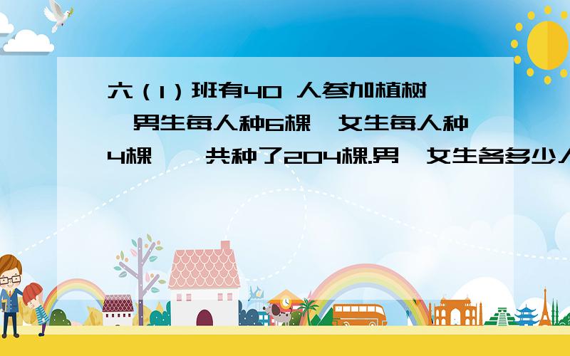 六（1）班有40 人参加植树,男生每人种6棵,女生每人种4棵,一共种了204棵.男,女生各多少人?快啊,我很急!