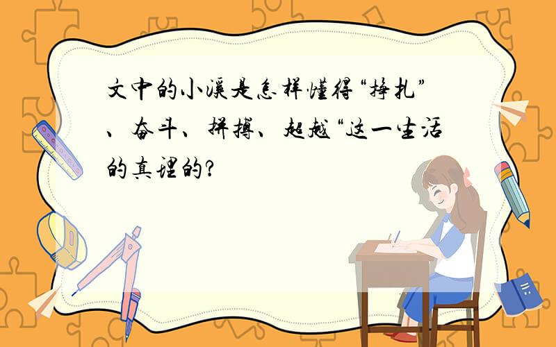 文中的小溪是怎样懂得“挣扎”、奋斗、拼搏、超越“这一生活的真理的?