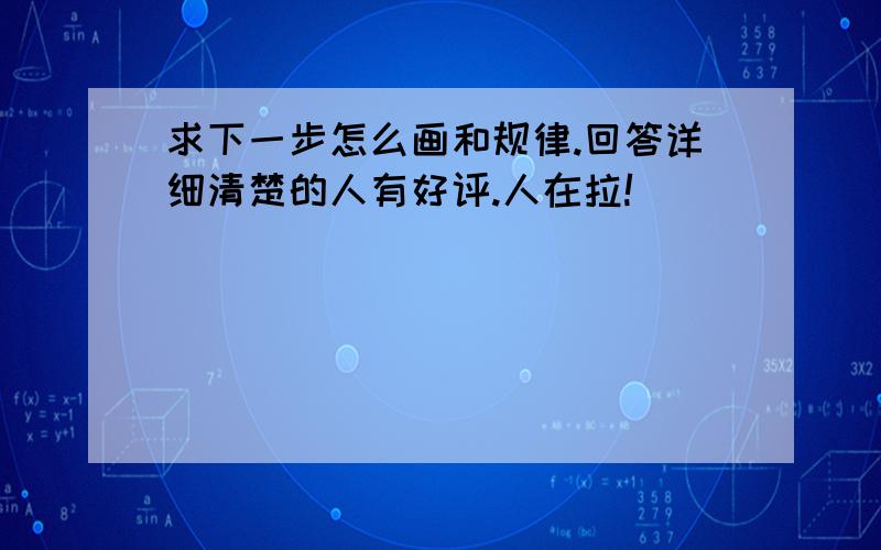 求下一步怎么画和规律.回答详细清楚的人有好评.人在拉!