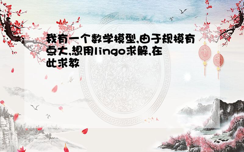 我有一个数学模型,由于规模有点大,想用lingo求解,在此求教