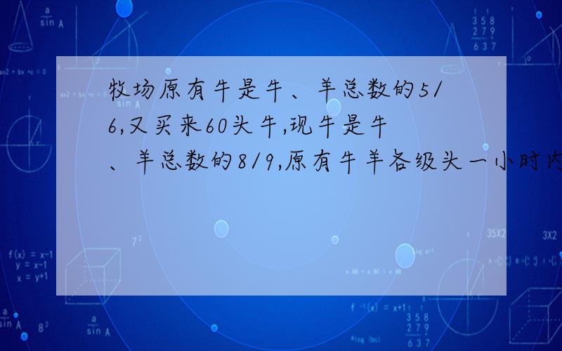 牧场原有牛是牛、羊总数的5/6,又买来60头牛,现牛是牛、羊总数的8/9,原有牛羊各级头一小时内要