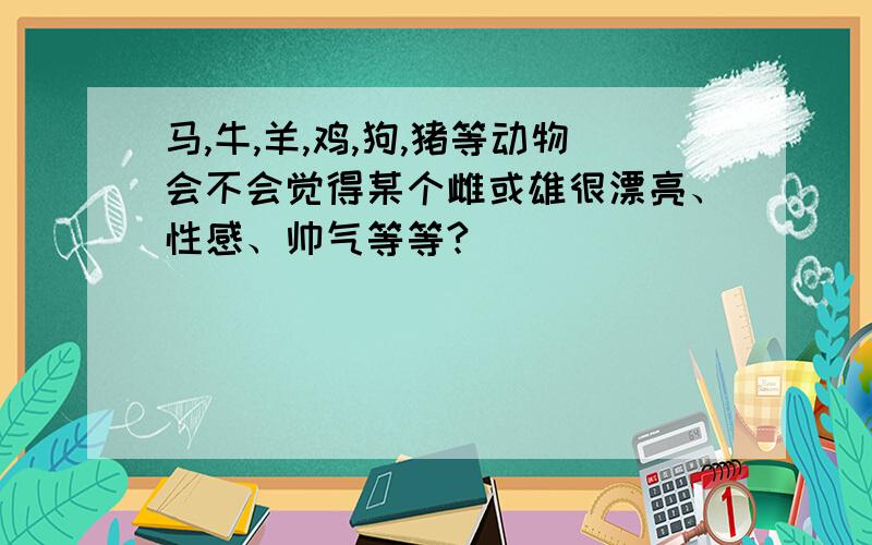 马,牛,羊,鸡,狗,猪等动物会不会觉得某个雌或雄很漂亮、性感、帅气等等?