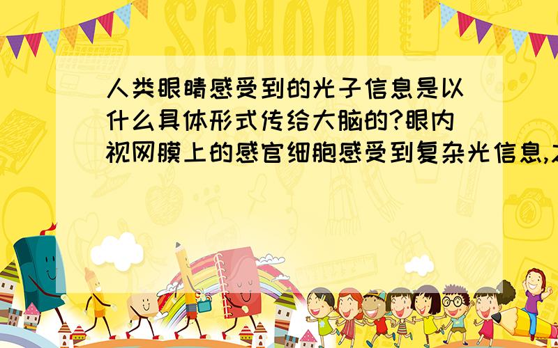 人类眼睛感受到的光子信息是以什么具体形式传给大脑的?眼内视网膜上的感官细胞感受到复杂光信息,之后再传给大脑视觉皮层,因此人才能感受外界资讯.请问这其中的具体过程,感官细胞感