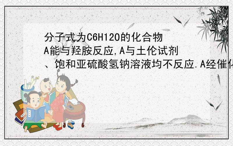 分子式为C6H12O的化合物A能与羟胺反应,A与土伦试剂、饱和亚硫酸氢钠溶液均不反应.A经催化加氢后得到的分子式为C6H14O的化合物B,B和浓硫酸脱水反应生成分子是为C6H12的化合物C,C经臭氧化分解