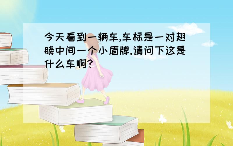 今天看到一辆车,车标是一对翅膀中间一个小盾牌.请问下这是什么车啊?