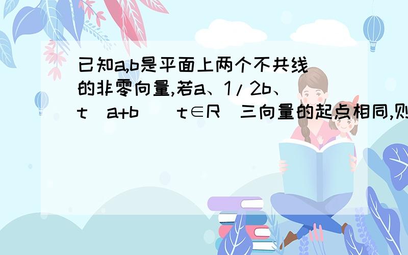 已知a,b是平面上两个不共线的非零向量,若a、1/2b、t(a+b)(t∈R)三向量的起点相同,则t为何值时,这三个向量的终点在同一直线上?我想知道为什么我这样做不对：∵这三个向量终点在同一直线上