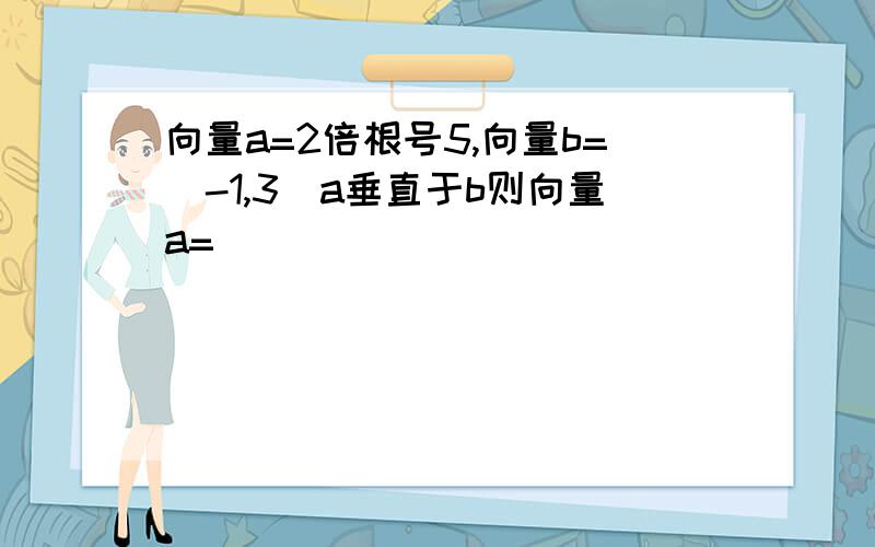 向量a=2倍根号5,向量b=（-1,3）a垂直于b则向量a=