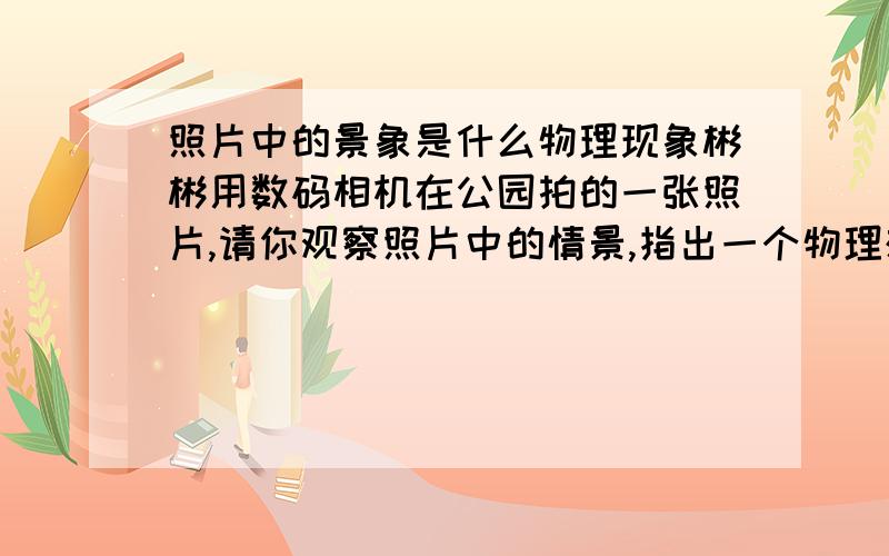 照片中的景象是什么物理现象彬彬用数码相机在公园拍的一张照片,请你观察照片中的情景,指出一个物理想象：——,该现象所涉及的物理知识是——.