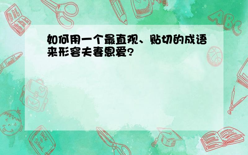 如何用一个最直观、贴切的成语来形容夫妻恩爱?