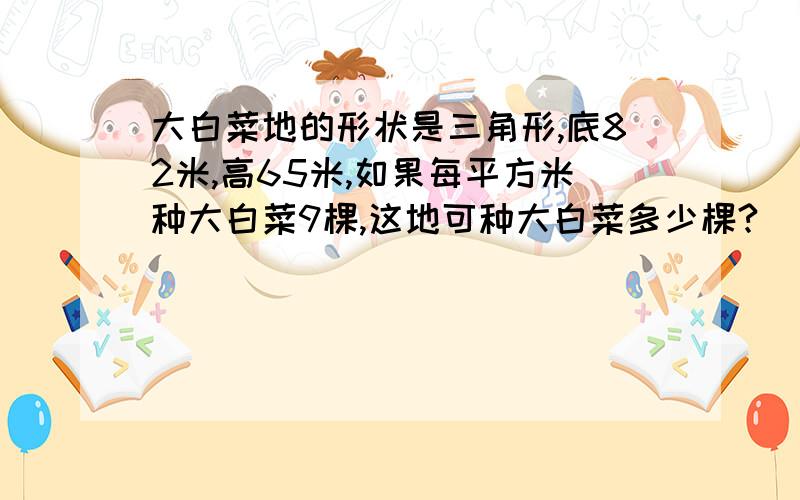 大白菜地的形状是三角形,底82米,高65米,如果每平方米种大白菜9棵,这地可种大白菜多少棵?