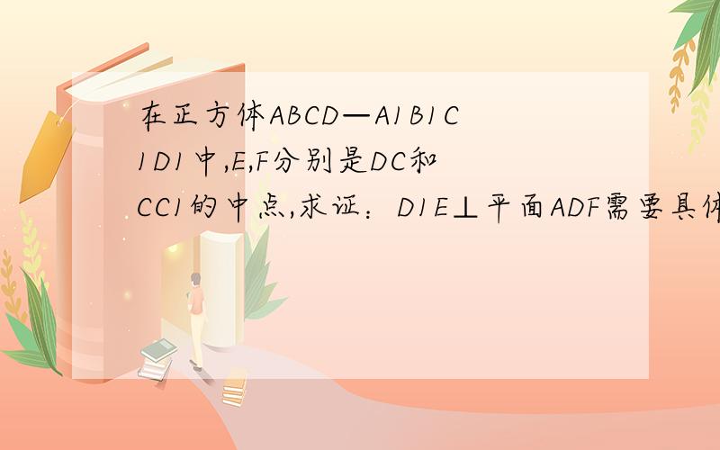 在正方体ABCD—A1B1C1D1中,E,F分别是DC和CC1的中点,求证：D1E⊥平面ADF需要具体步骤