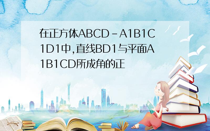 在正方体ABCD－A1B1C1D1中,直线BD1与平面A1B1CD所成角的正