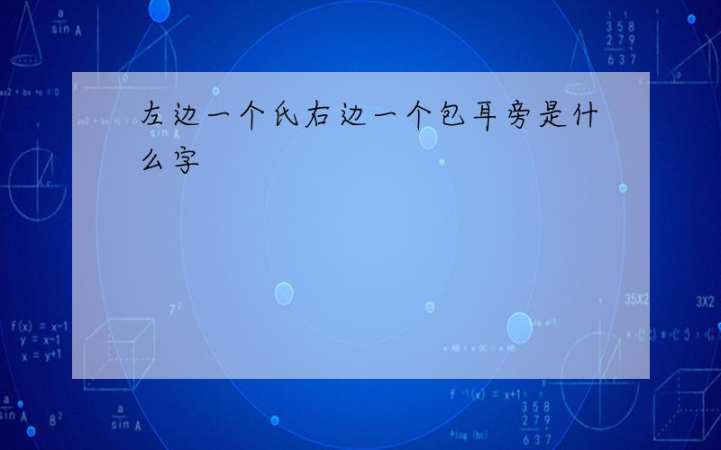 左边一个氏右边一个包耳旁是什么字